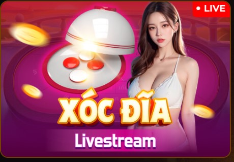 Xóc đĩa liveStream